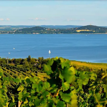 In - Balaton 37076 Apartmán Csopak