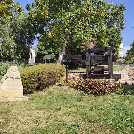 In - Balaton 37076 *