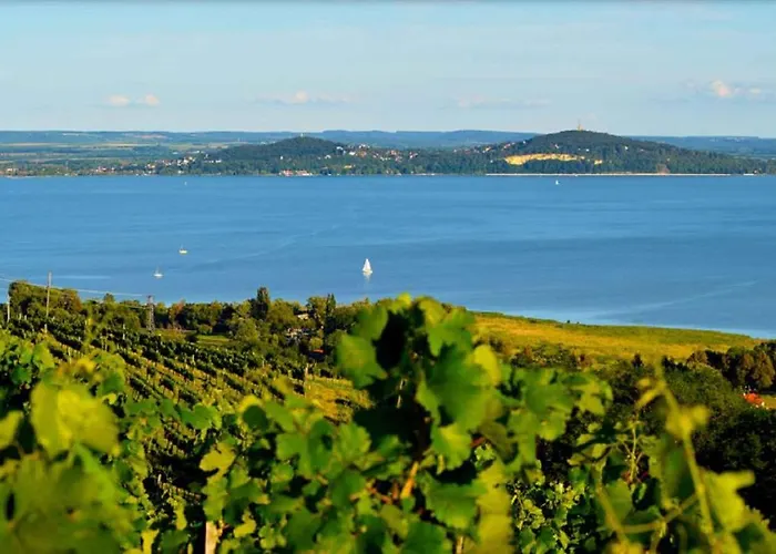 In - Balaton 37076 Apartamento Csopak